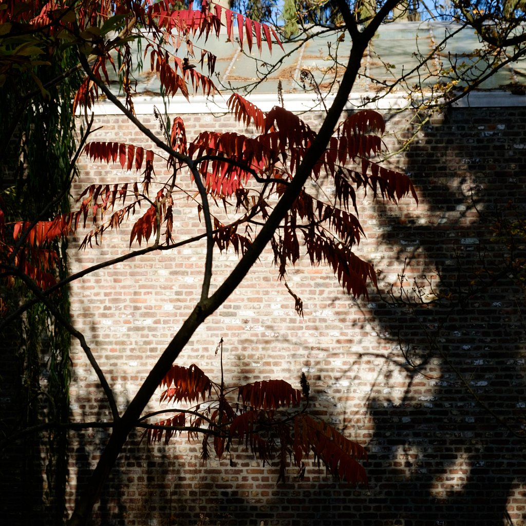 Herbstlau