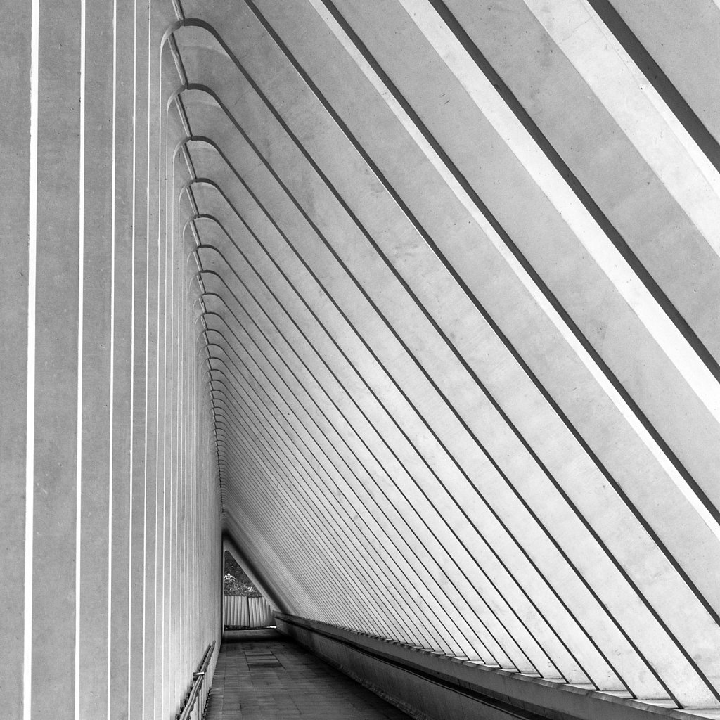 Bahnhof Guillemins