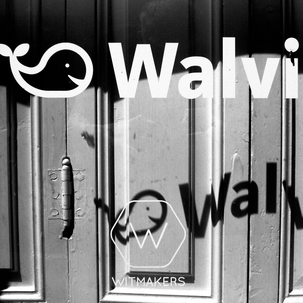 Walvi