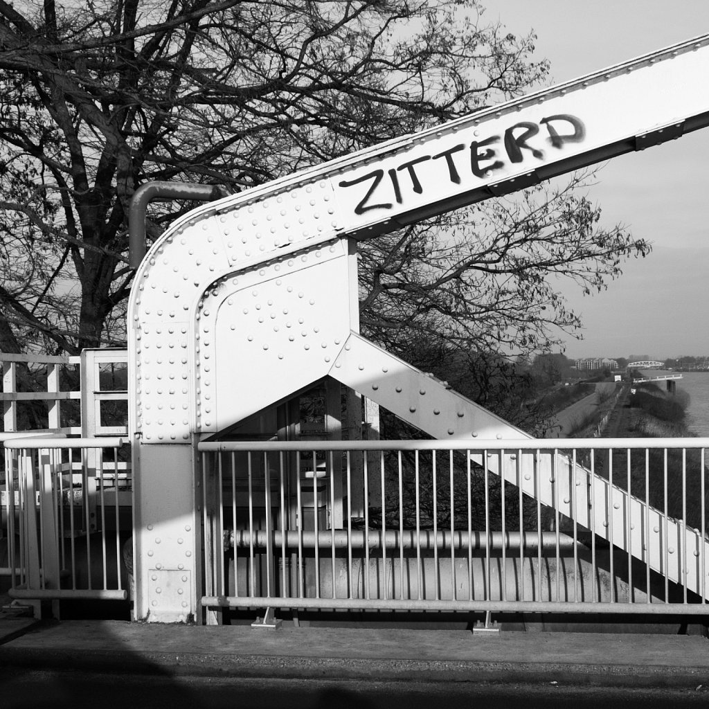 Zitterd